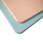 Bath Mat Double-sided Sanding Quick Water Abosrbing Diatomaceous Bath Mat