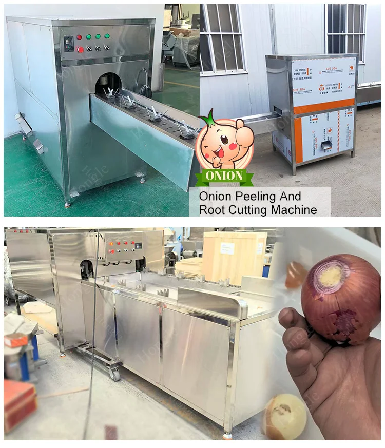 New Plant Machine for Dry Onion Rings Production 500 Kg/H Calibration Line Square Cutting Featuring Core Motor PLC factory