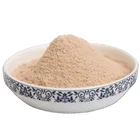 Promotional Shrimp Promotional Dried Sea Prawns Grilled Shrimp Flavor Seasoning Powder Cheap