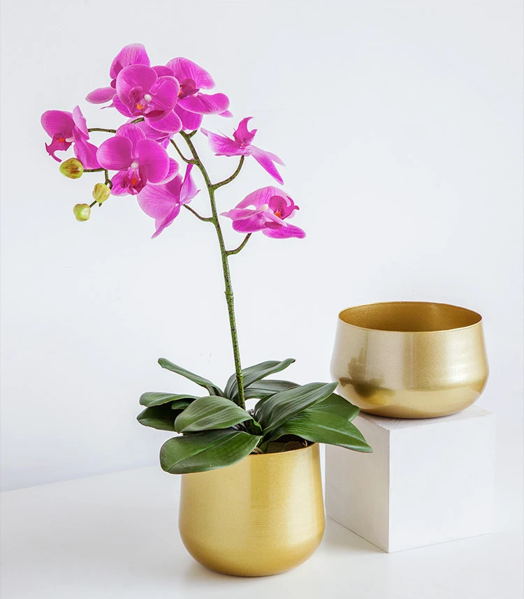 GG340 Nordic Modern Garden Home Decor Flowerpot Golden Iron Art Green Plant Succulent Hydroponic Potted Flower Pot