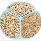 Chemical Desiccant Chemical Industry Insulating Glass Desiccant 3A Molecular Sieve