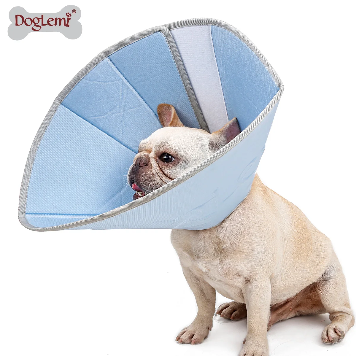 dog protective collar