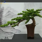 Bonsai Tree Bonsai Tree High Simulation Indoor Artificial Mini Bonsai Pine Tree