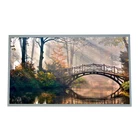 Lcd Innolux 23.6 Inch NF236IN01AFH Desktop Monitor Lcd 1920*1080 TFT LCD Display Panel