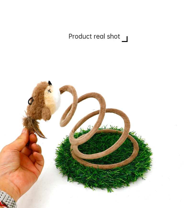 Sparrow Cat Teaser Wand Spring Wire Spiral Coil Cat Toy with Scratch Pad Interactive Self-Play Fun for Cats Dangling Bird Toy supplier