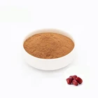 Fruit Best Quality Chinese Fruit Red Dates Extract Red Dates Powder From Zhongfa