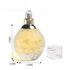 100ml 10ml Perfume Bottle Wholesale Luxury 30Ml 50Ml 100Ml Clear Empty 10Ml Black Perfume Bottle