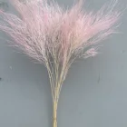 Grass Instagram Popular Preserved Pink Feather Grass For Flower Arrangement