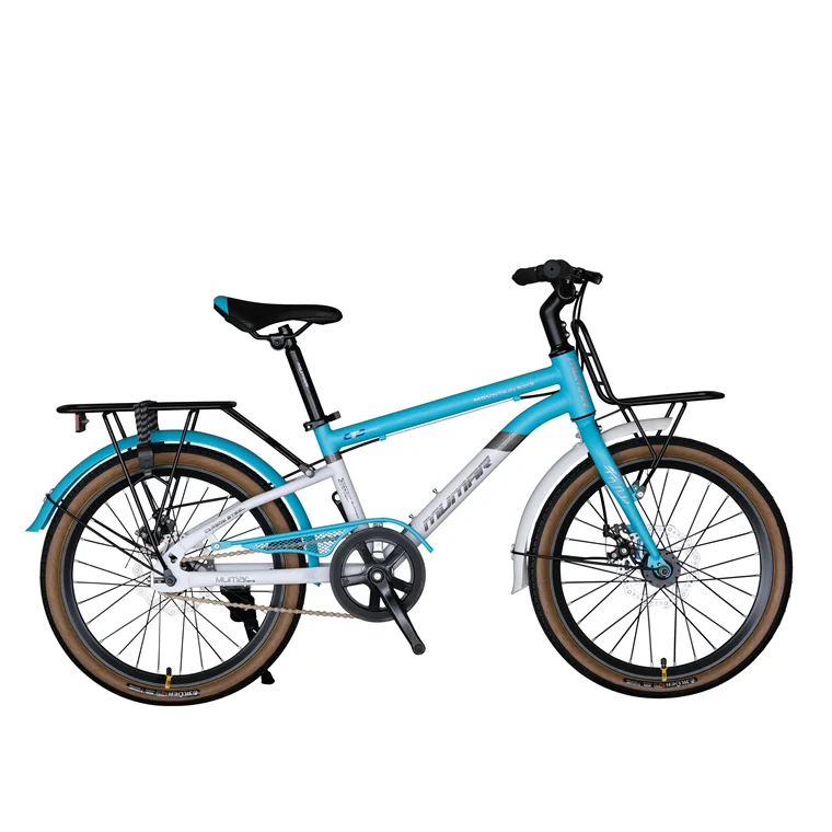 20 inch women's bike