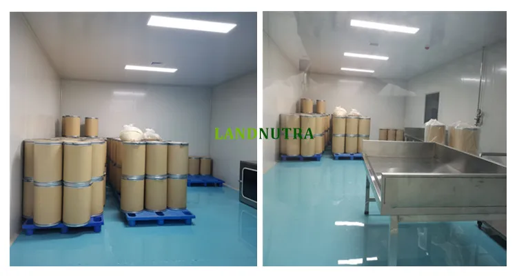 Wholesale Bulk Allicin Dehydrated Garlic Extract Powder Allicin Garlic Extract