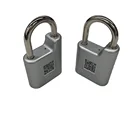 Lock Door SMDT Electric Appliance Blue Tooth Wifi Security Lock Electronic Door Lock Pad Lock