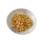 Corn Kernel Kernel Supplier Price Frozen Sweet Corn Price IQF Frozen Sweet Corn Kernel