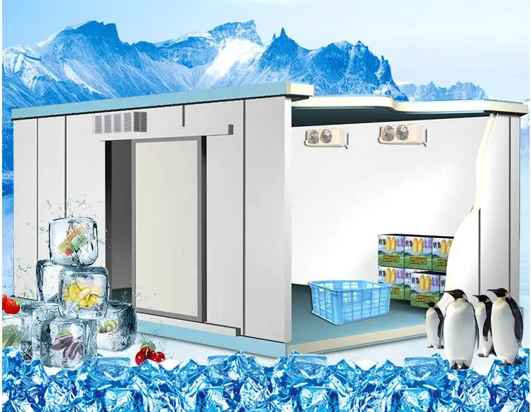 Cold Room Storage, 20Ft, 220, R22 - detail 6