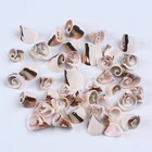 Sea Shell Fashion Bohemian Sea Beach Natural Shell Cowrie Shell For Bracelet Necklace Ewelry