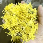 Blooming Yellow Flowers Chinese Jinsihuangju Chrysanthemum Flower Tea