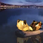 Chinese Mandarin Duck Resin Luminous Sculpture Lamp