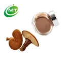 Organic 30% Polysaccharides Reishi Mushroom Extract
