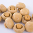 Canned China Canned 2840g Hot Sale Canned Mushroom Whole PNS In China