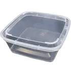 Plastic Excellent Food Used Square Shaped 100ml Thermoforming Small Plastic Food Container Set With Hinged Lid