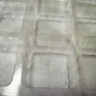 Plastic Tray Plastic Customized Plastic Blister Thermoformed Clear Cheap Cake Packaging Thin Tray