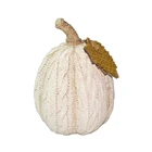 Craft Pumpkin 5 Inch Tabletop Decoration Craft White Resin Fall Knitted Pumpkin