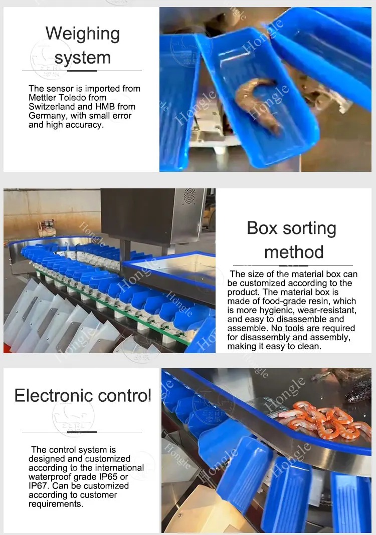 Clam Fish Sorting Machine Agricultural Product Weight Sorting Machine Shrimp supplier