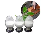 Cellulose Price Manufacture HPMC Chemicals Cheap Price Hydroxypropyl Methyl Cellulose