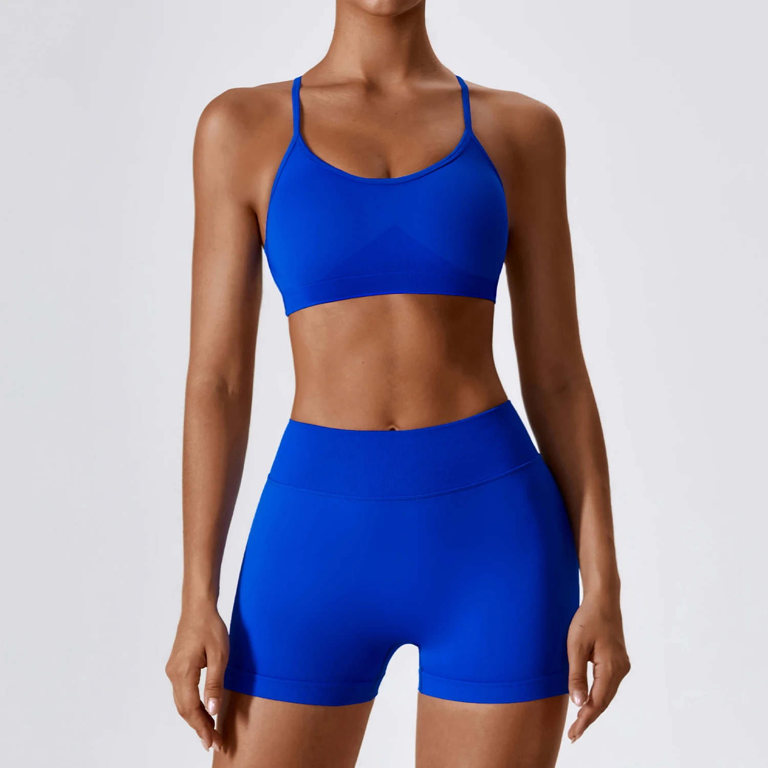Summer Gym Yoga Sets Women's High Quality Seamless V Back Shorts Workout Clothing Activewear Yoga Sets