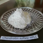 Care Chondroitin Health Joints Supplement Health Care Products Nutraceutical Chondroitin Sulphate Sodium