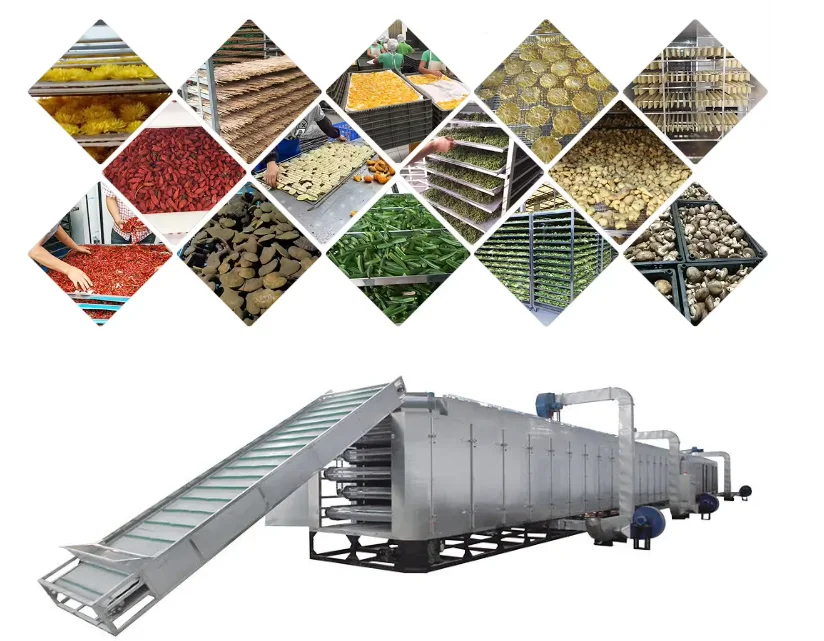 dehydrated vegetable Continuous belt Conveyor Tunnel drying machine