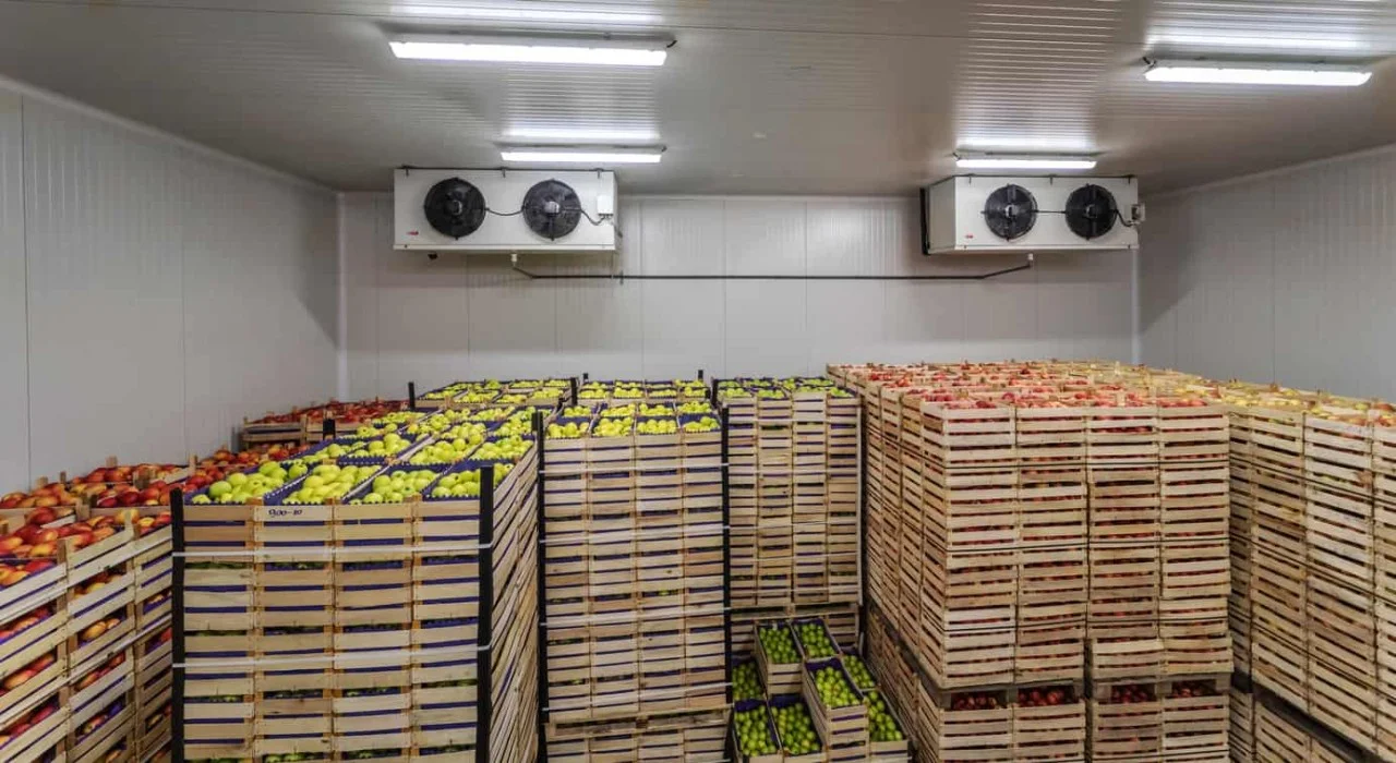 Cold Room Storage, AC 220 V, 500 W - detail 6