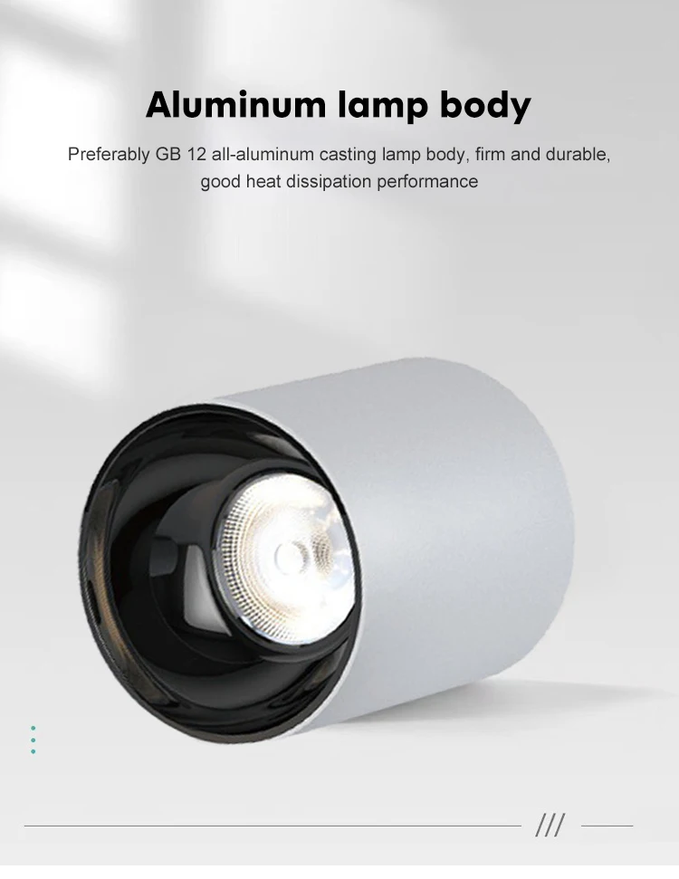 lc1073 high power engineer type round down led light 10w 15w 20w 30w aluminum surface mounted down light-3