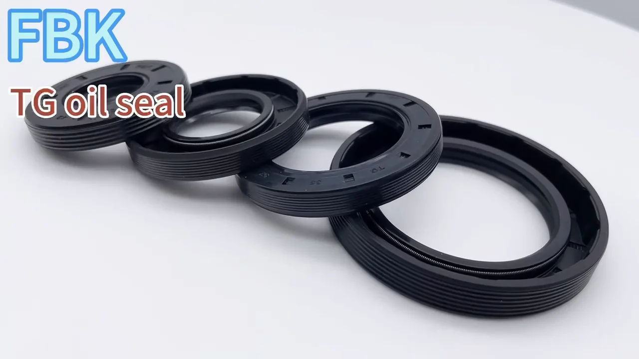 Iatf Certified China Factory Rubber Oil Seal Tc Tg Fkm Nbr