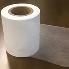 Japan hydrophobic polyorefin nonwoven grade tea filter papers