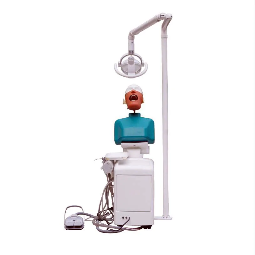 dental simulator/dental phantom head/teaching simulator, View dental