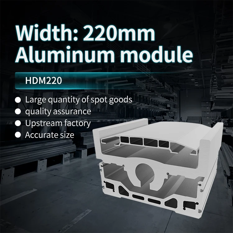 220 Linear Motor Module Aluminum Profile Linear Module Motion Platform Screw Slide Table Workbench Customization factory