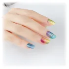 American Nail Polish Popular European And American Fashion Shining Starry Sky Nail Polish Film Nail Stickers