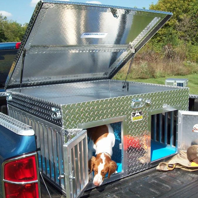 how do you transport a dog in a truck bed