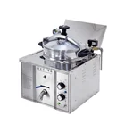 Fryer Factory Price Hot Sale Electric Counter Top Industrial Fryer