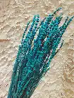 Wedding Wholesale Cheap Dry Flowers Wedding Dried Decorative Flower Best Natural Real Dried Lavender