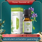 Essential 100% Pure Natural High Quality Organic Aromatherapy Thyme Essential Oil For Treating Colds Coughs Sore Throats
