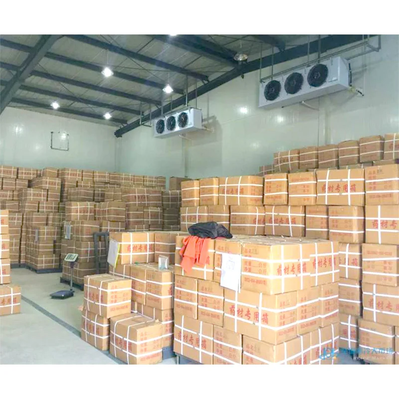 Blast Freezer, 220V/380V, 220V 50hz - detail 18