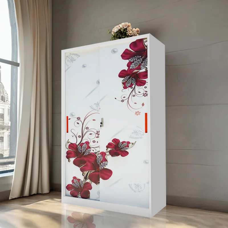 Modern 2-Door Iron Steel Metal Locker Printed Wardrobe for Home Bedroom Bathroom School Office Gym for Hotel Furniture