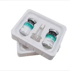 Plastic Tray China Factory Directly OEM Supermarket PET/PVC Clear Plastic Blister Packaging Tray For Vial