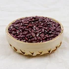 Beans Bean China Origin Beans CIF Xingang Organic Adzuki Bean