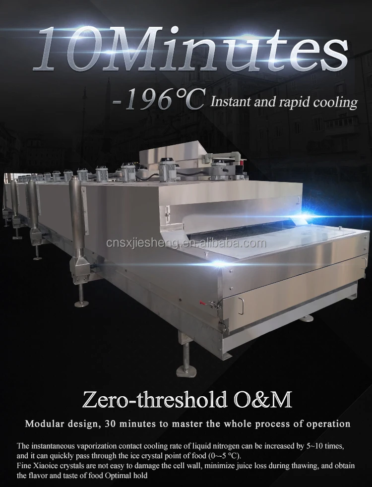 Liquid Nitrogen Tunnel Freezer, 196, Customizable - detail 6