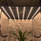 Grow Light Led Bar Yuanhui 630W Samsung-Lm301b Horticulture Red Led Grow Light Full Spectrum