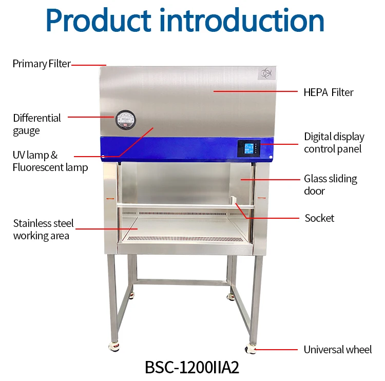 BSC-1500-IIA2 Stainless Steel Class 2 Biological Safety Cabinet School University Hospital Lab Equipment for Workshop Use Direct