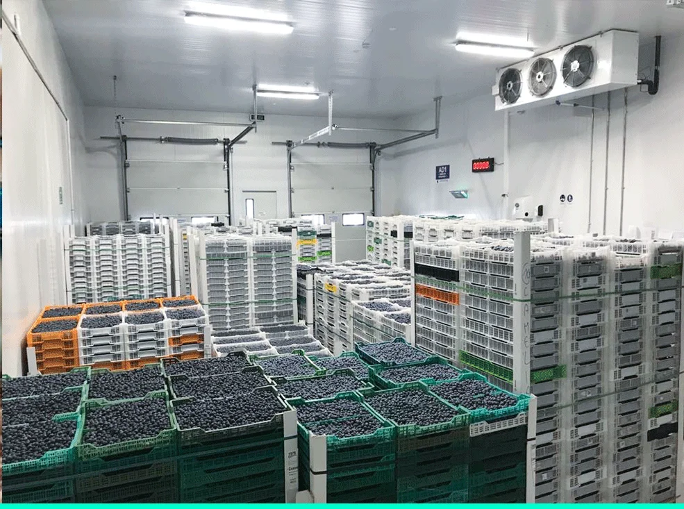 Cold Room Storage, 380V, 80ton - detail 36