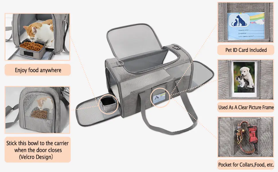 cat carriers for medium cats under 25